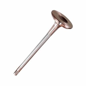 VALVULA ESCAPE CABECOTE MOTOR